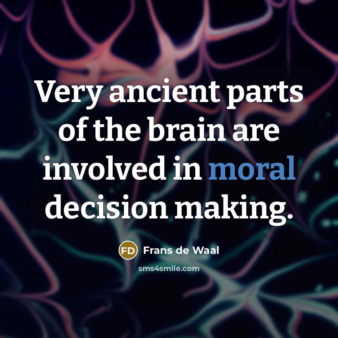 “Very ancient parts of the brain are involved in moral…” quote by Frans de Waal