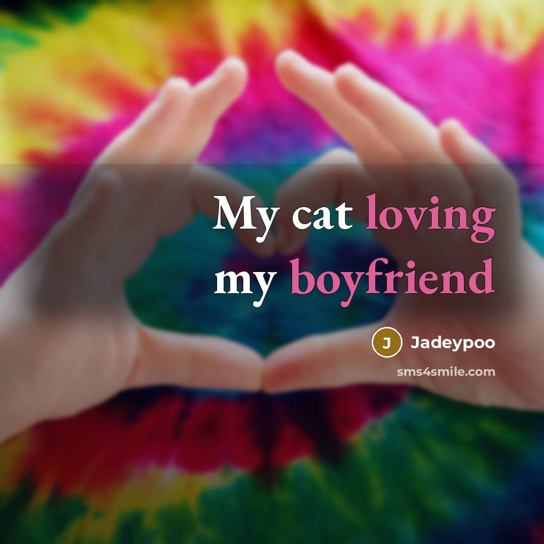 “My cat loving my boyfriend…” quote by Jadeypoo