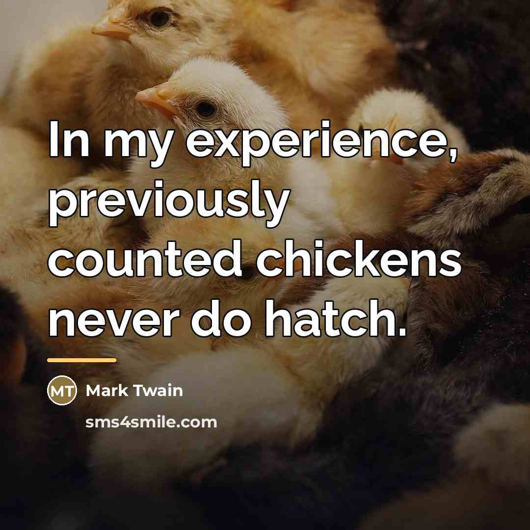 “In my experience, previously counted chickens never do hatch.…” quote by Mark Twain