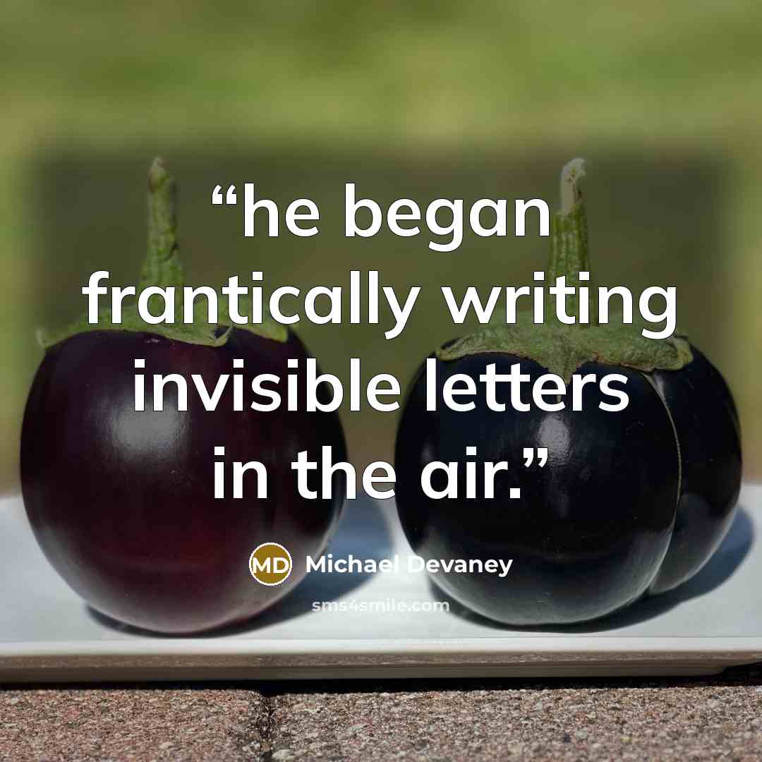 “he began frantically writing invisible letters in the air.” quote by Michael Devaney
