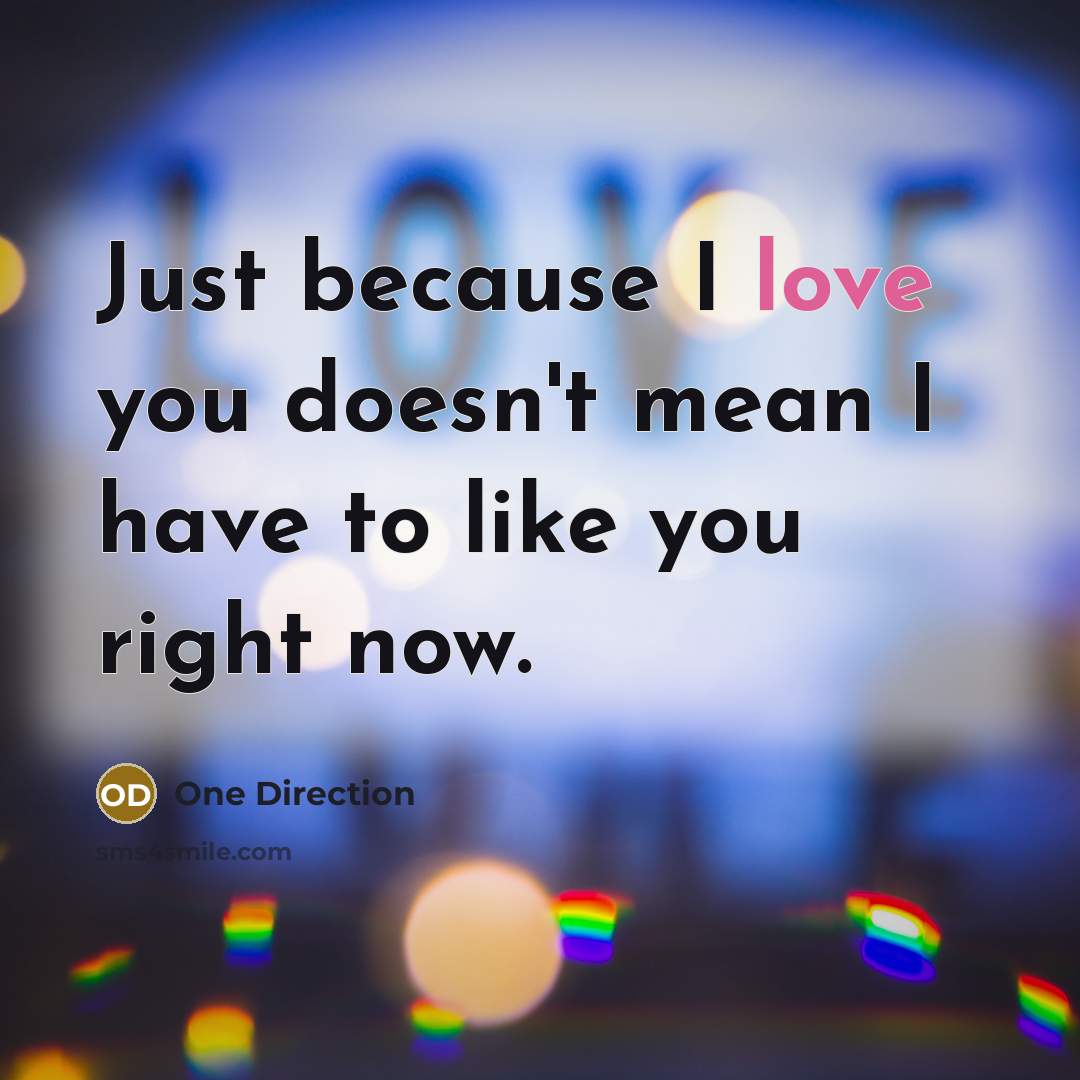 “Just because I love you doesn't mean I have to…” quote by One Direction