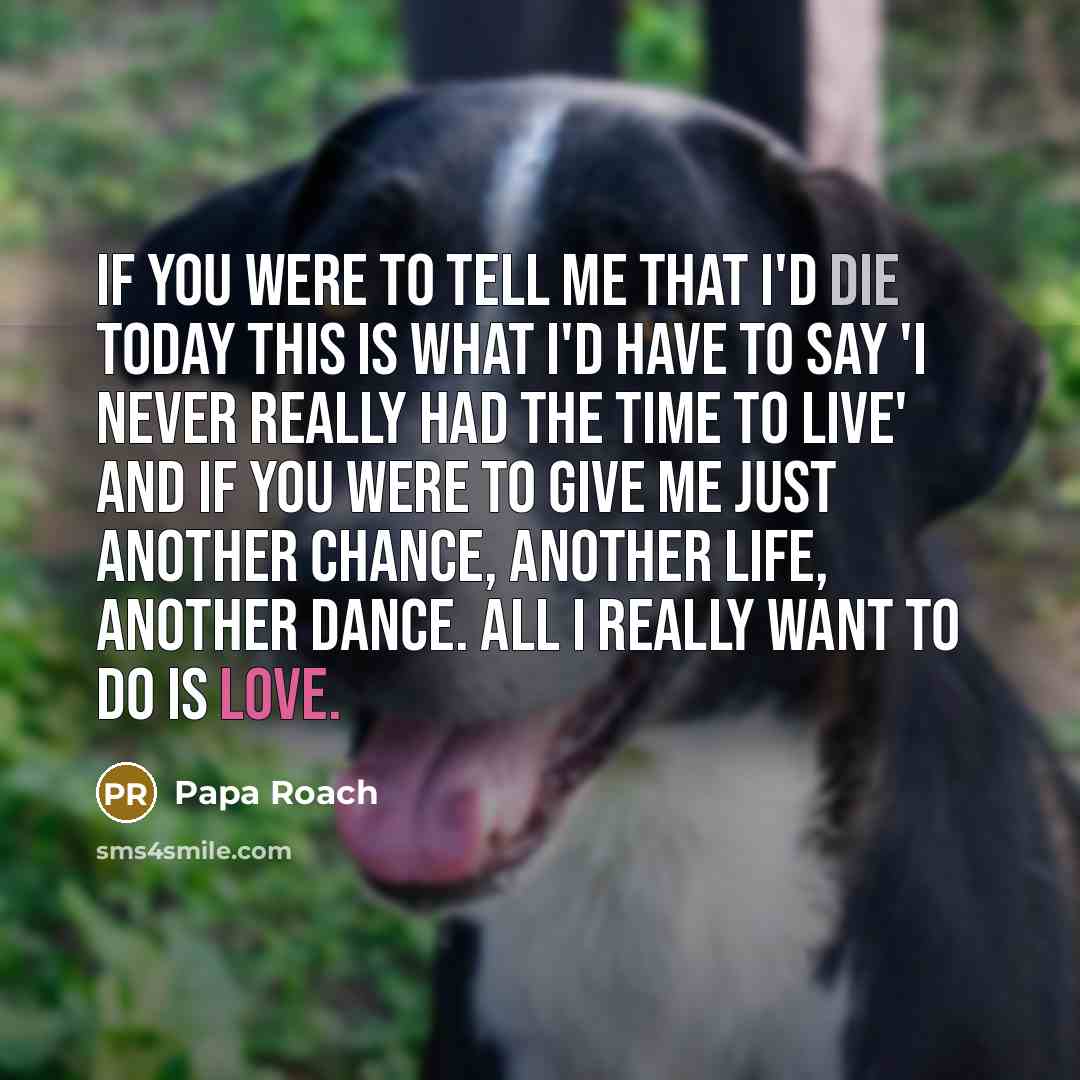 “If you were to tell me that I'd die today…” quote by Papa Roach