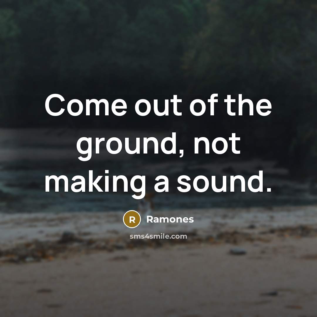 “Come out of the ground, not making a sound.…” quote by Ramones