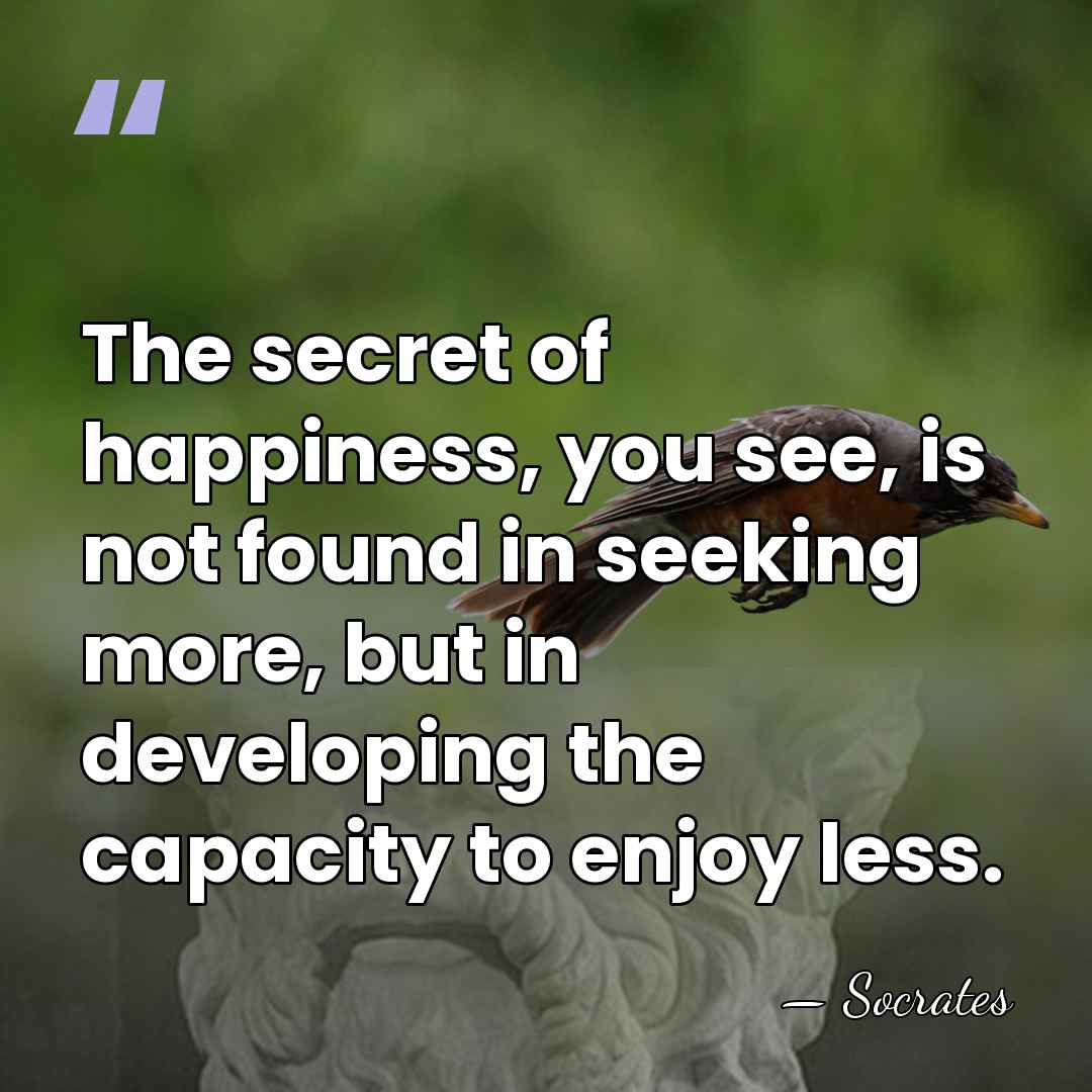 The secret of happiness, you see, is not found in seeking more,&hellip; - Socrates