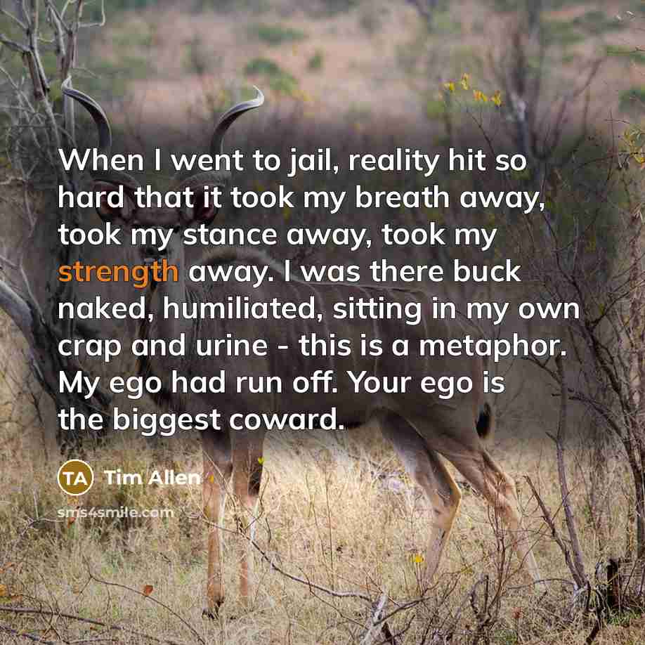 “When I went to jail, reality hit so hard that…” quote by Tim Allen