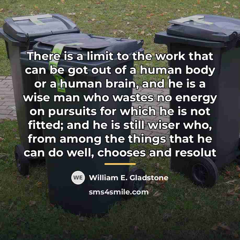 “There is a limit to the work that can be…” quote by William E. Gladstone