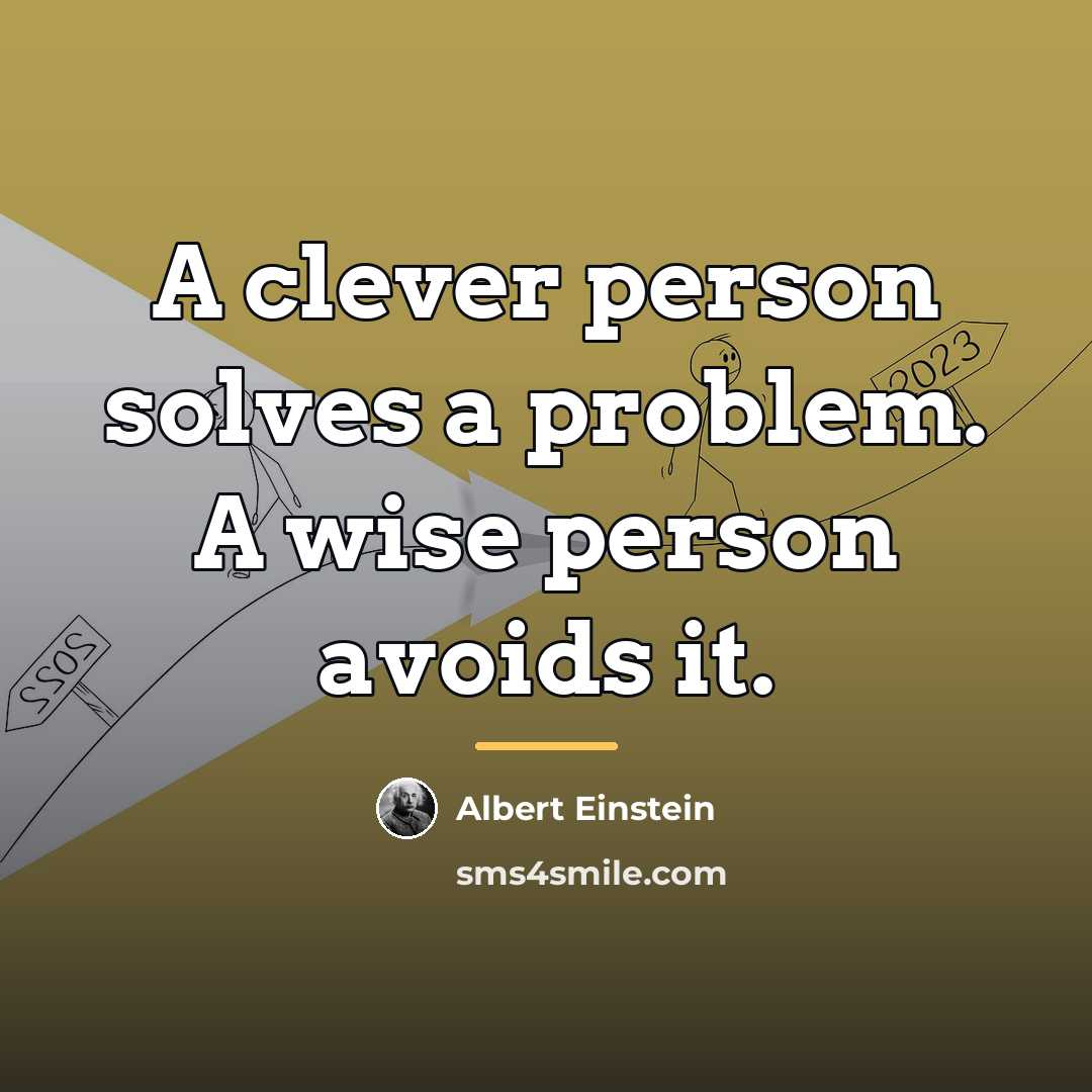 “A clever person solves a problem. A wise person avoids…” quote by Albert Einstein