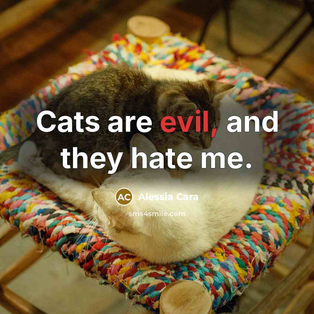 “Cats are evil, and they hate me.…” quote by Alessia Cara