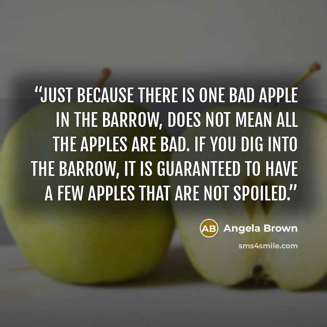 “Just because there is one bad apple in the barrow, does not mean all the apples are bad. If you dig into the barrow, it is guaranteed to have a few apples that are not spoiled.” quote by Angela Brown