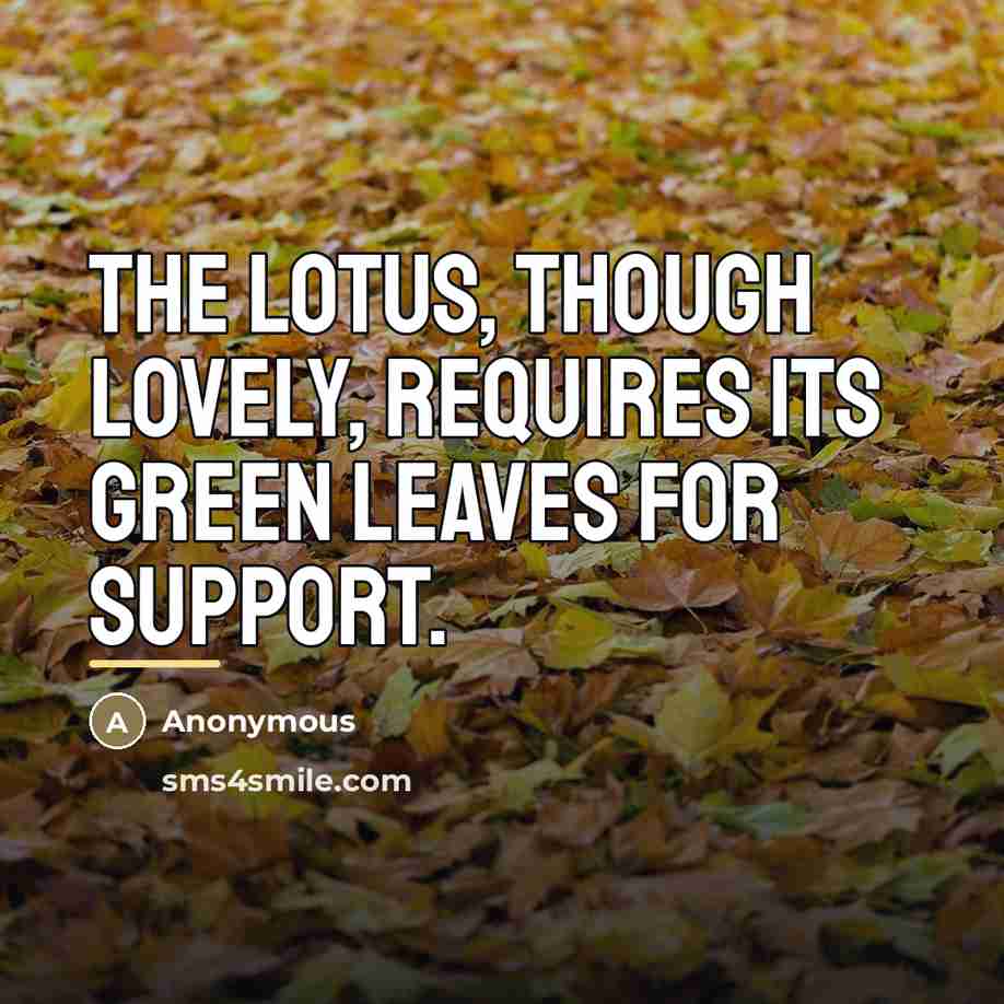 “The lotus, though lovely, requires its green leaves for support.…” quote by Anonymous