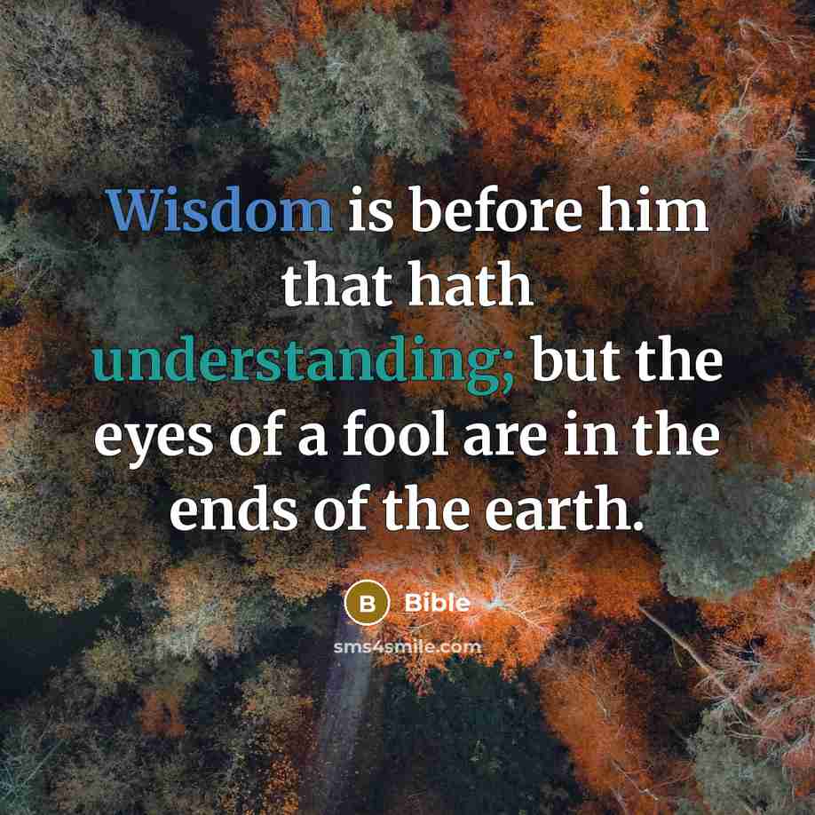 “Wisdom is before him that hath understanding; but the eyes of a fool are in the ends of the earth.” quote by Bible