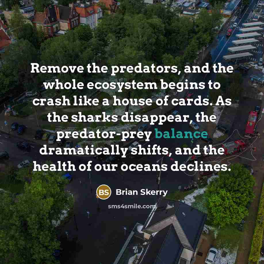 “Remove the predators, and the whole ecosystem begins to crash…” quote by Brian Skerry