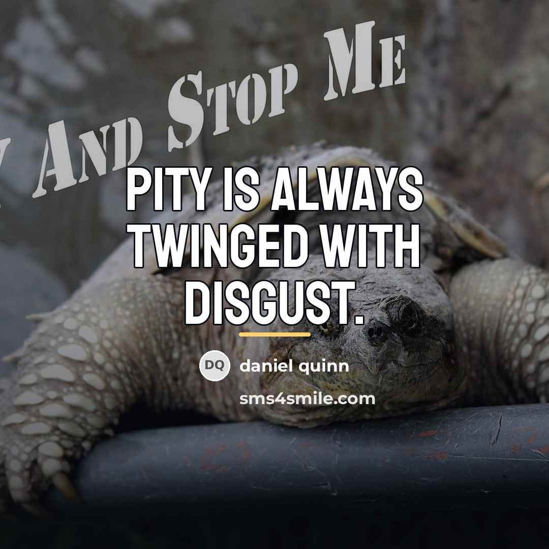 “Pity is always twinged with disgust.…” quote by Daniel Quinn