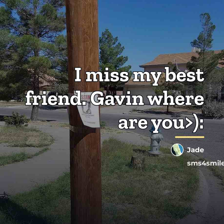 “I miss my best friend. Gavin where are you>):…” quote by Jade