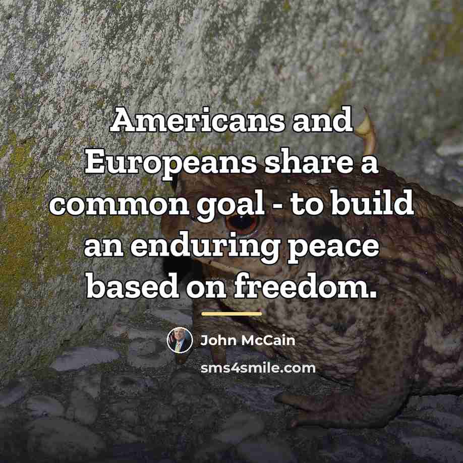 “Americans and Europeans share a common goal - to build…” quote by John McCain