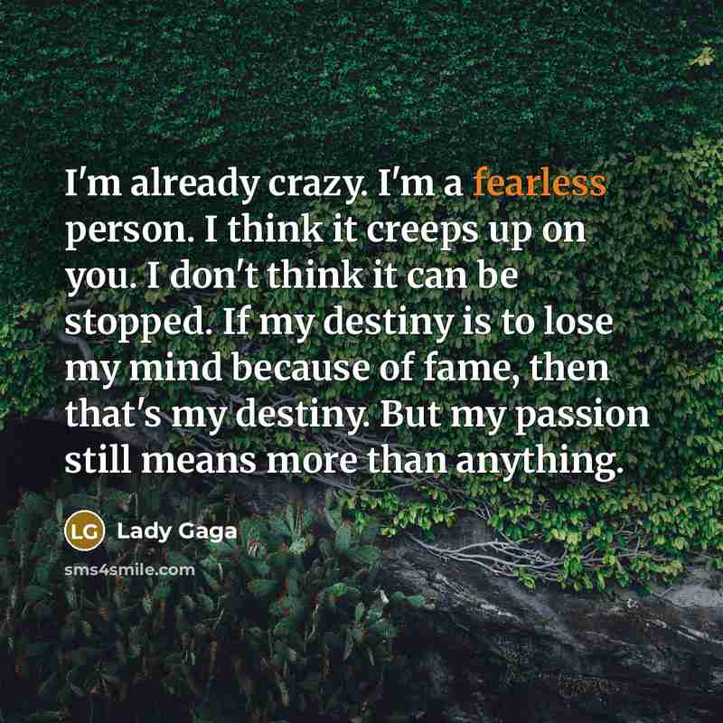 “I'm already crazy. I'm a fearless person. I think it…” quote by Lady Gaga