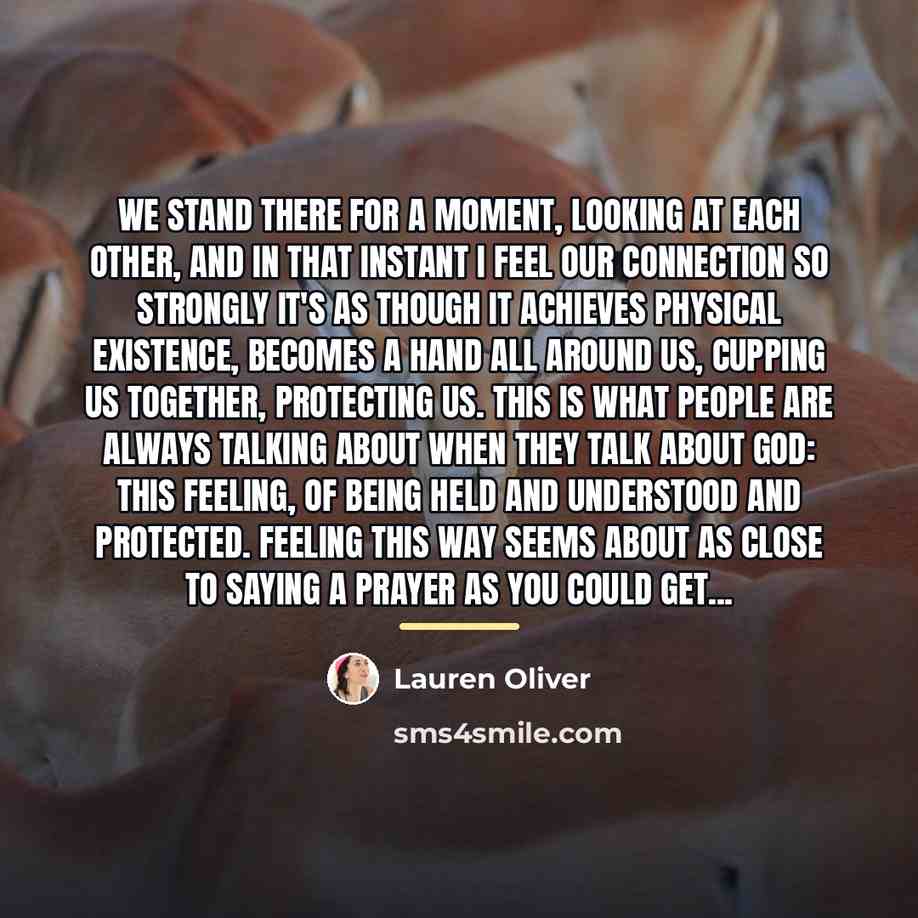 “We stand there for a moment, looking at each other,…” quote by Lauren Oliver