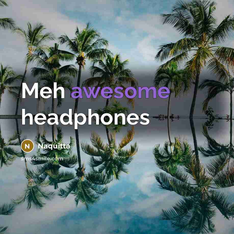 “Meh awesome headphones” quote by Naquitta