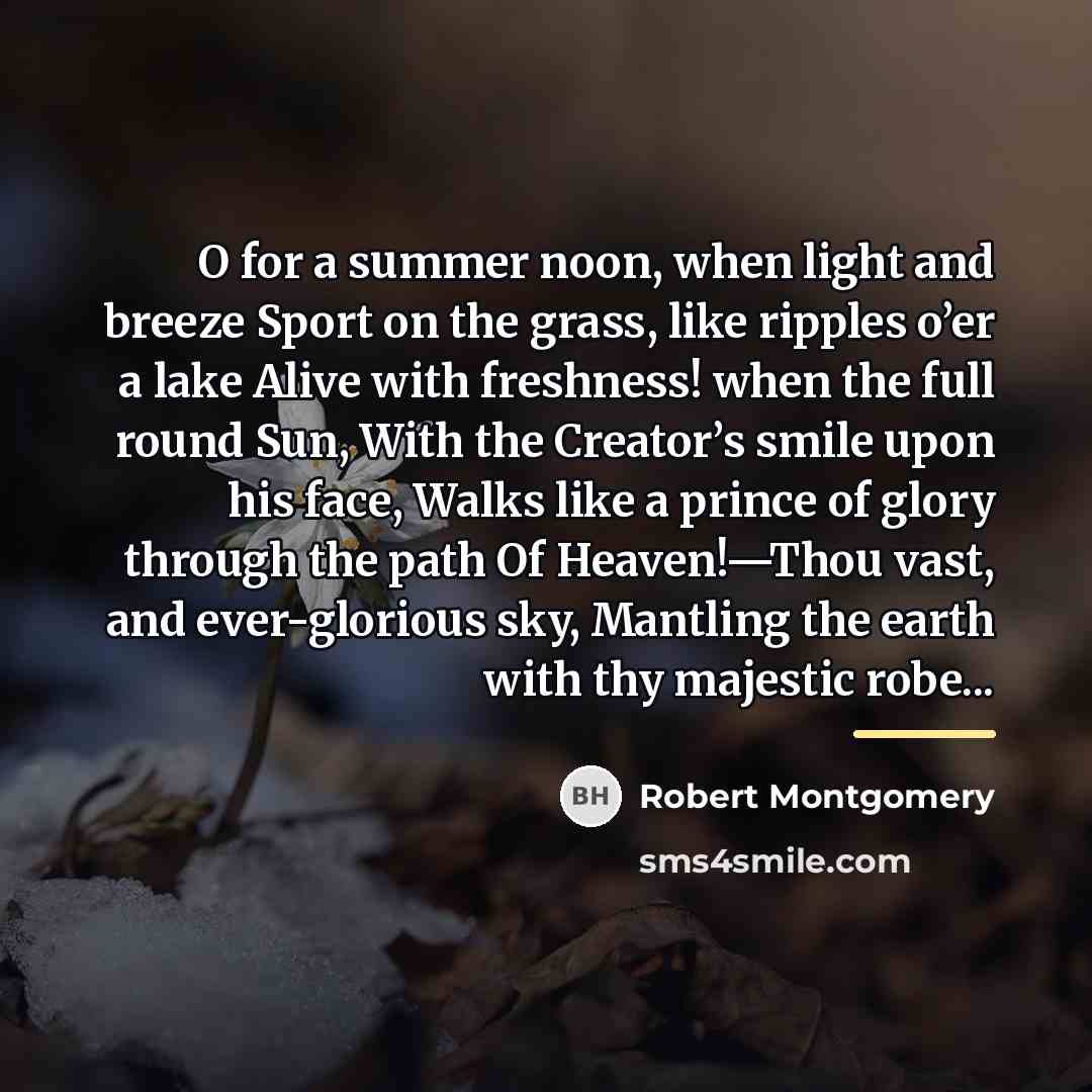 “O for a summer noon, when light and breeze Sport…” quote by Robert Montgomery