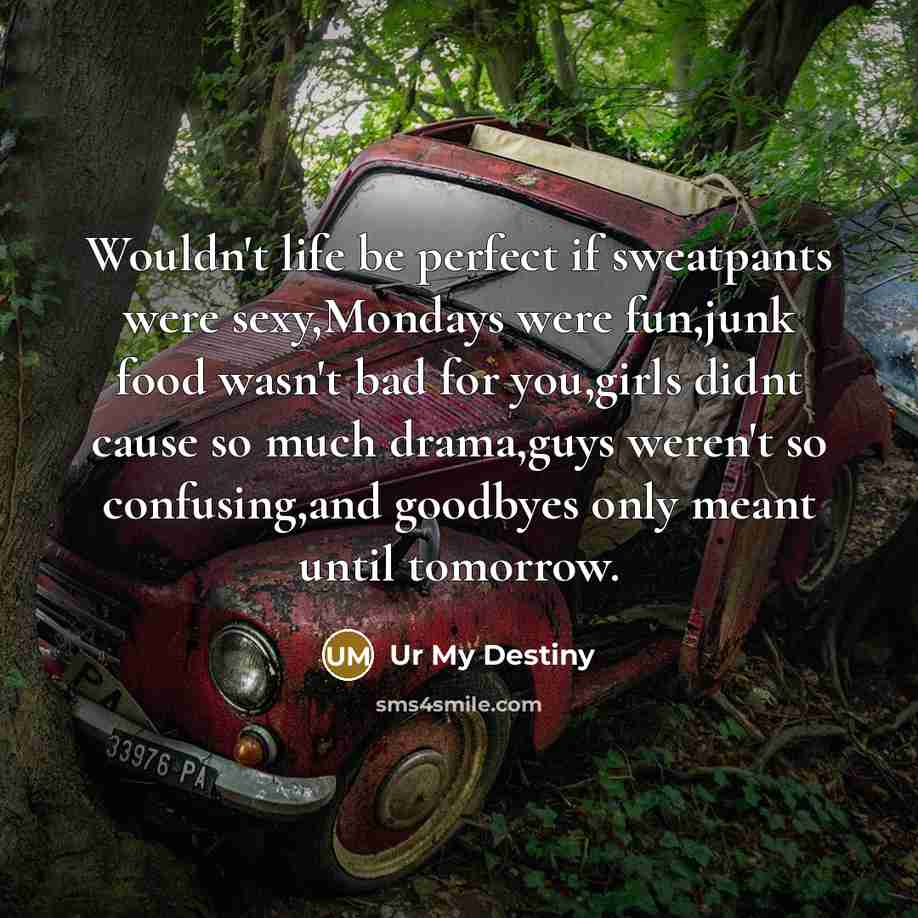 “Wouldn't life be perfect if sweatpants were sexy,Mondays were fun,junk…” quote by Ur My Destiny