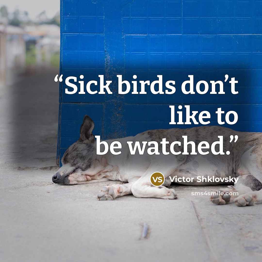 “Sick birds don’t like to be watched.” quote by Victor Shklovsky