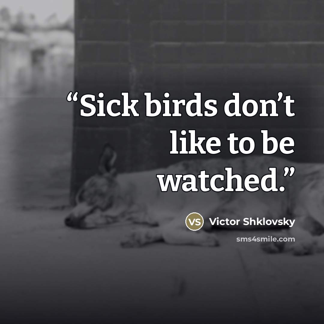 “Sick birds don’t like to be watched.” quote by Victor Shklovsky