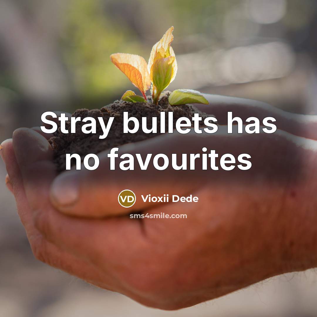 “Stray bullets has no favourites…” quote by Vioxii Dede