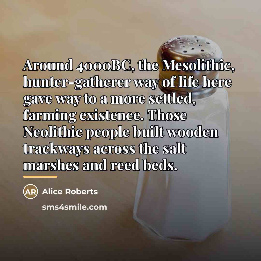 “Around 4000BC, the Mesolithic, hunter-gatherer way of life here gave…” quote by Alice Roberts