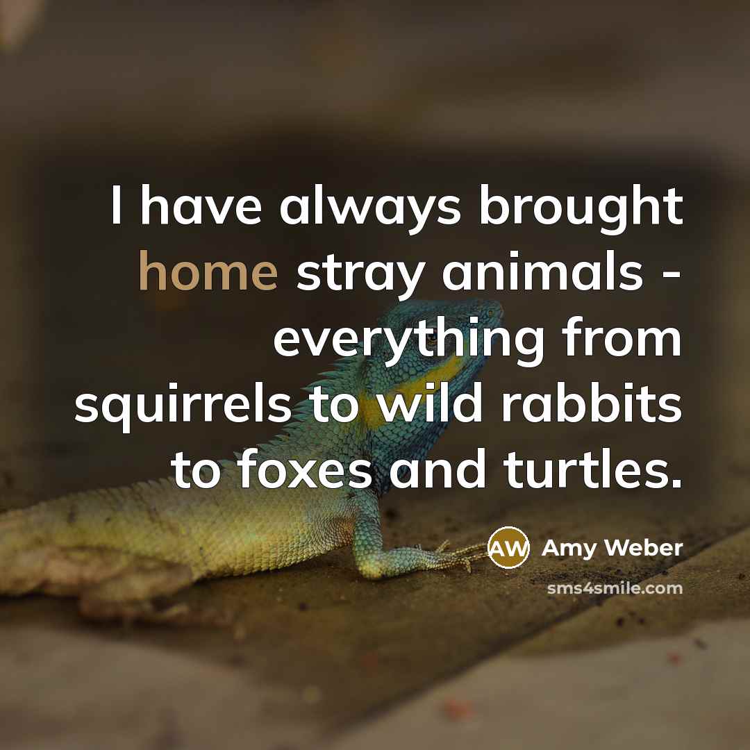 “I have always brought home stray animals - everything from…” quote by Amy Weber
