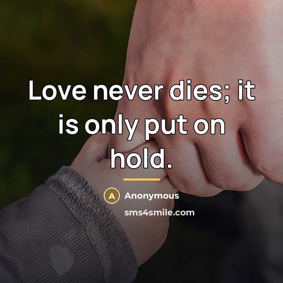 “Love never dies; it is only put on hold.…” quote by Anonymous