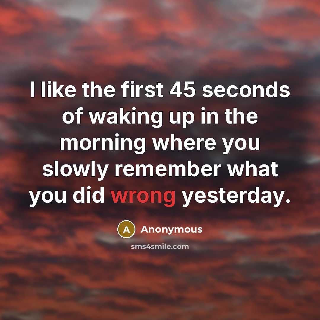 “I like the first 45 seconds of waking up in the morning where you slowly remember what you did wrong yesterday.” quote by Anonymous