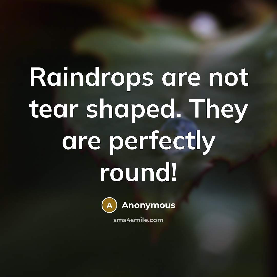 “Raindrops are not tear shaped. They are perfectly round!” quote by Anonymous
