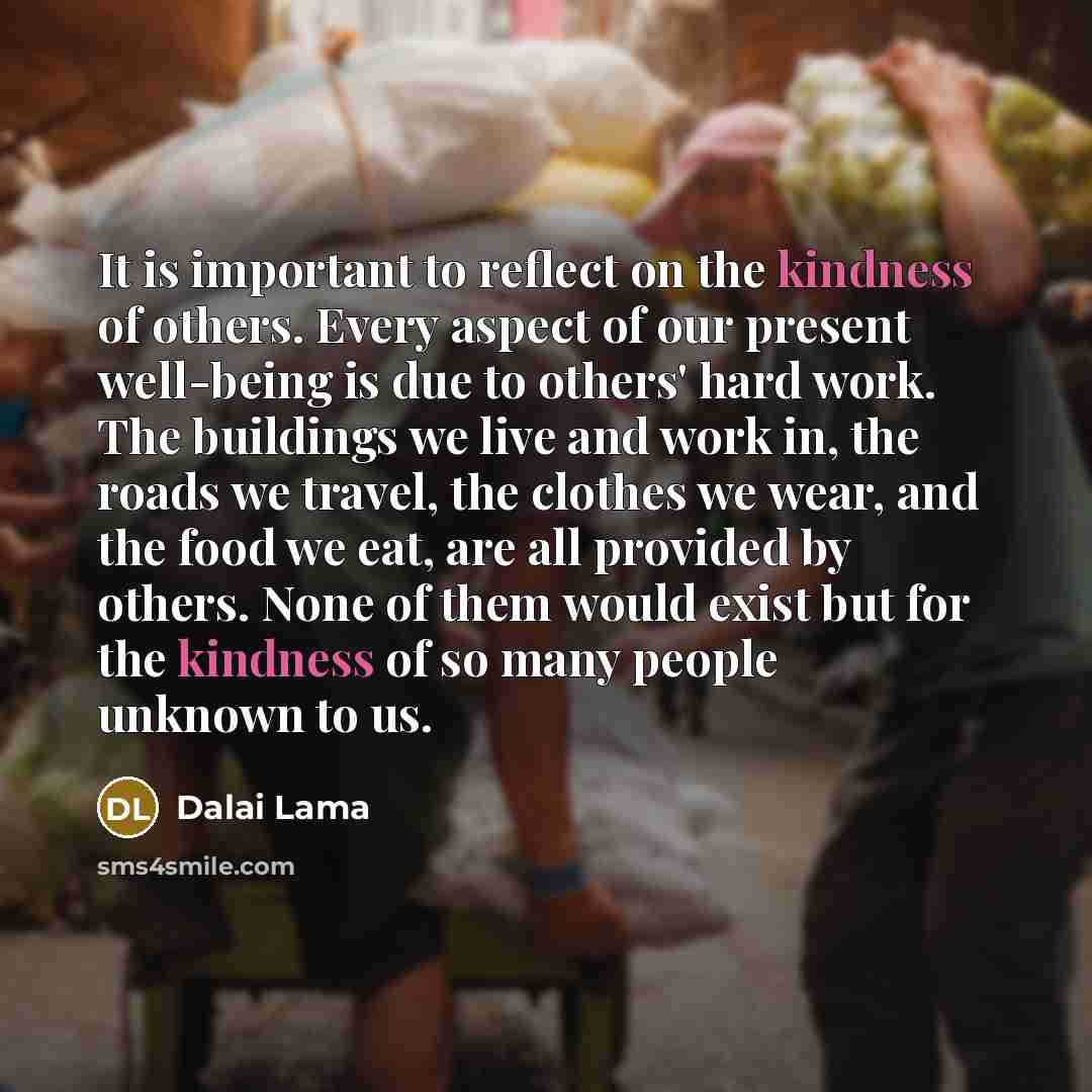 “It is important to reflect on the kindness of others.…” quote by Dalai Lama