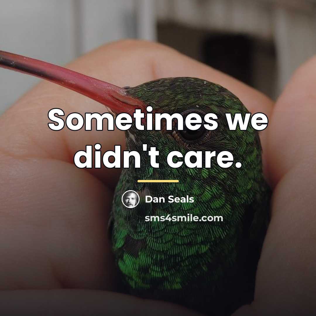 “Sometimes we didn't care.…” quote by Dan Seals