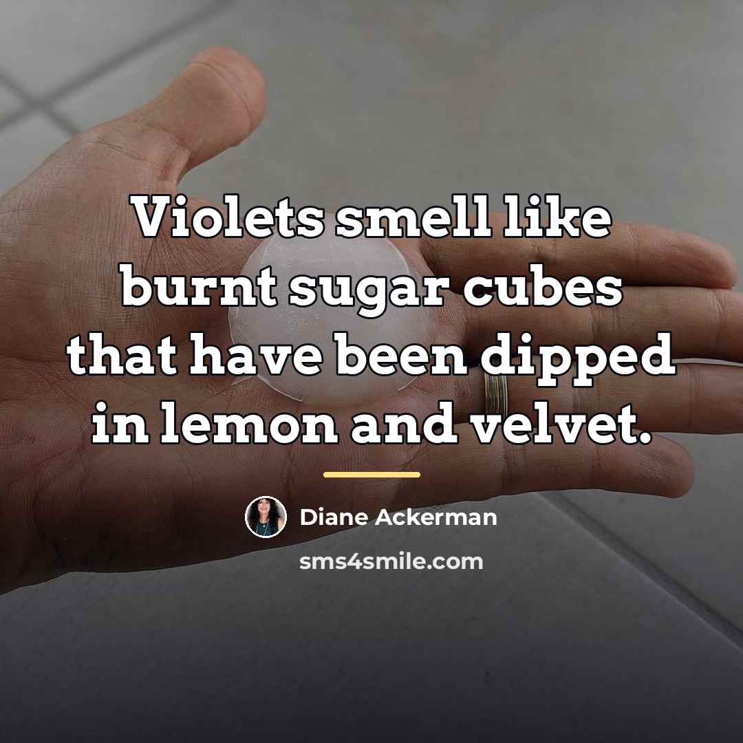 “Violets smell like burnt sugar cubes that have been dipped…” quote by Diane Ackerman