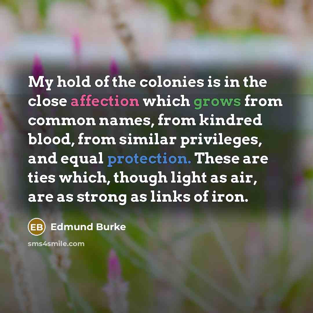 “My hold of the colonies is in the close affection…” quote by Edmund Burke