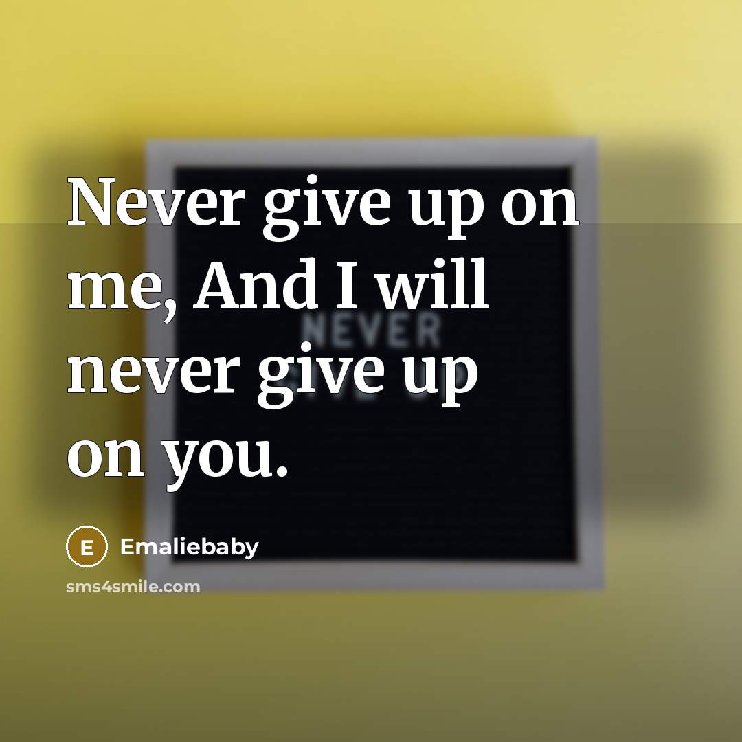 “Never give up on me, And I will never give…” quote by Emaliebaby