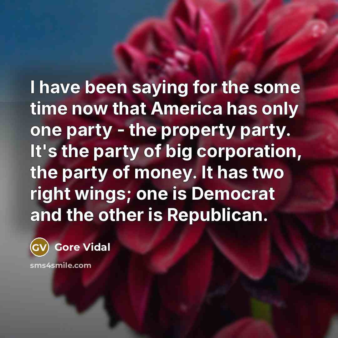 “I have been saying for the some time now that…” quote by Gore Vidal
