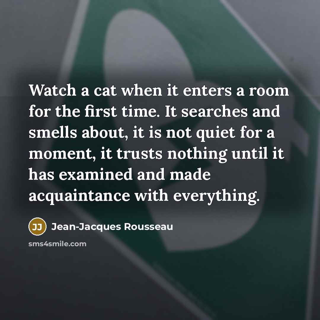 “Watch a cat when it enters a room for the…” quote by Jean-Jacques Rousseau