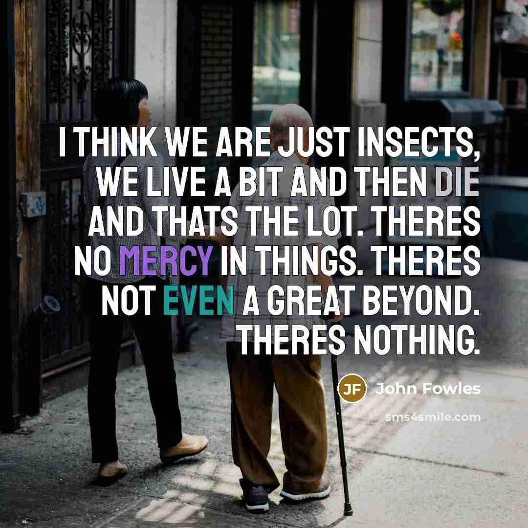 “I think we are just insects, we live a bit…” quote by John Fowles