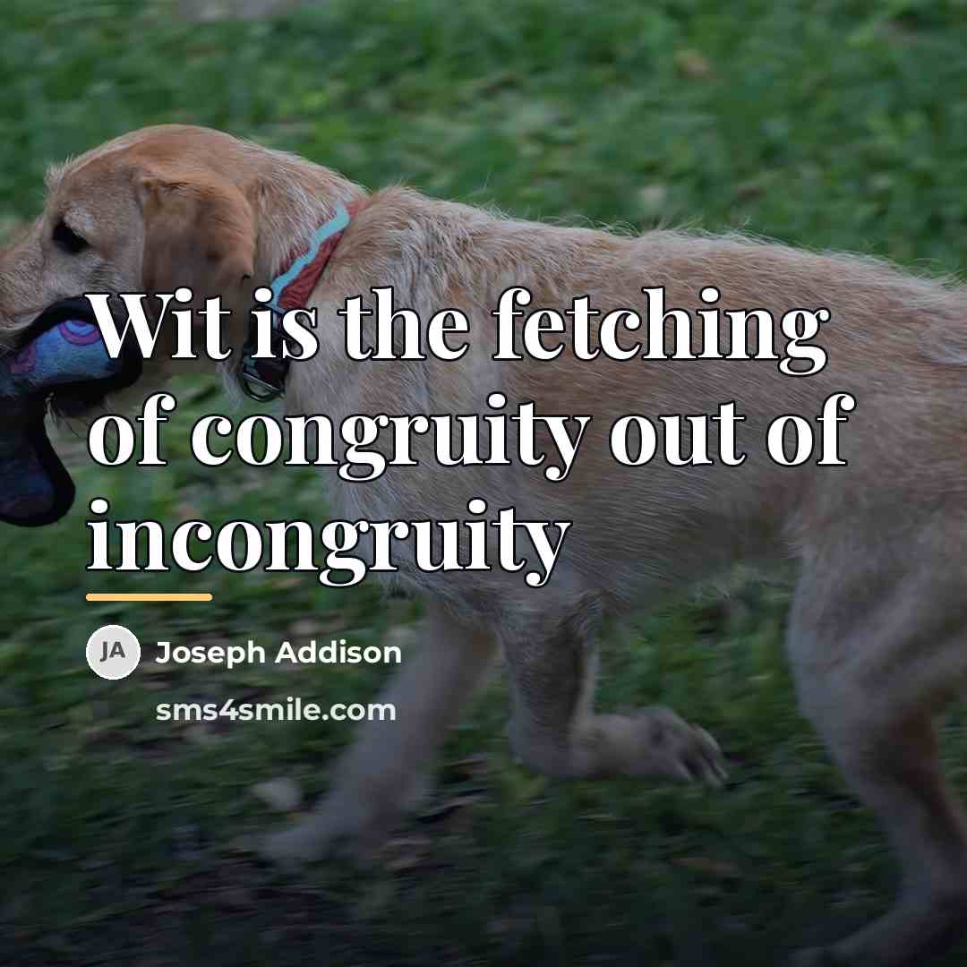 “Wit is the fetching of congruity out of incongruity…” quote by Joseph Addison