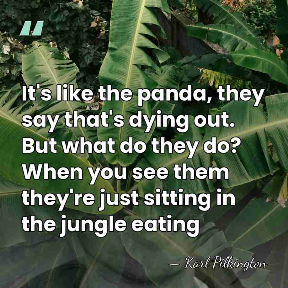 It's like the panda, they say that's dying out. But what do&hellip; - Karl Pilkington