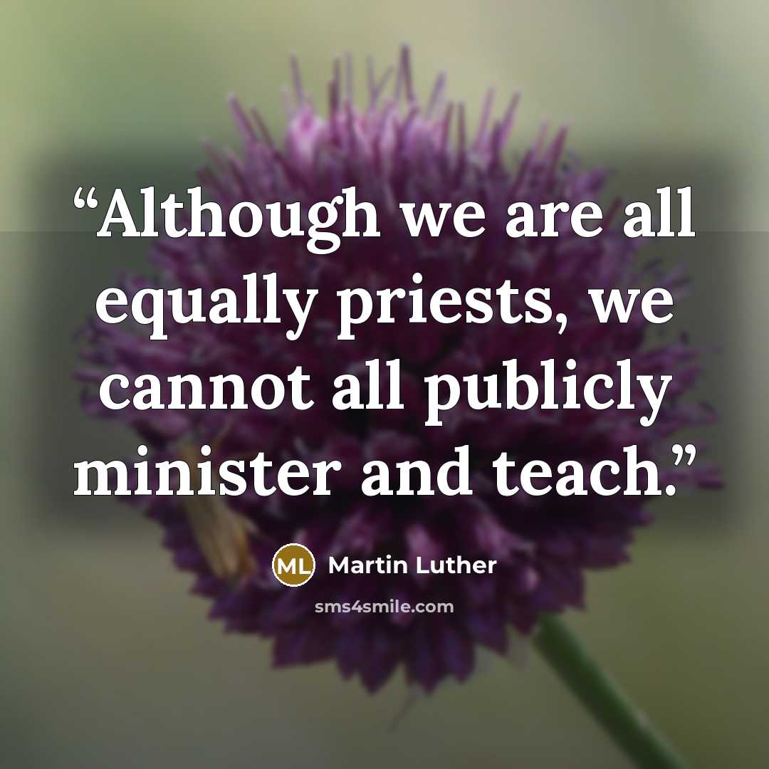 “Although we are all equally priests, we cannot all publicly minister and teach.” quote by Martin Luther