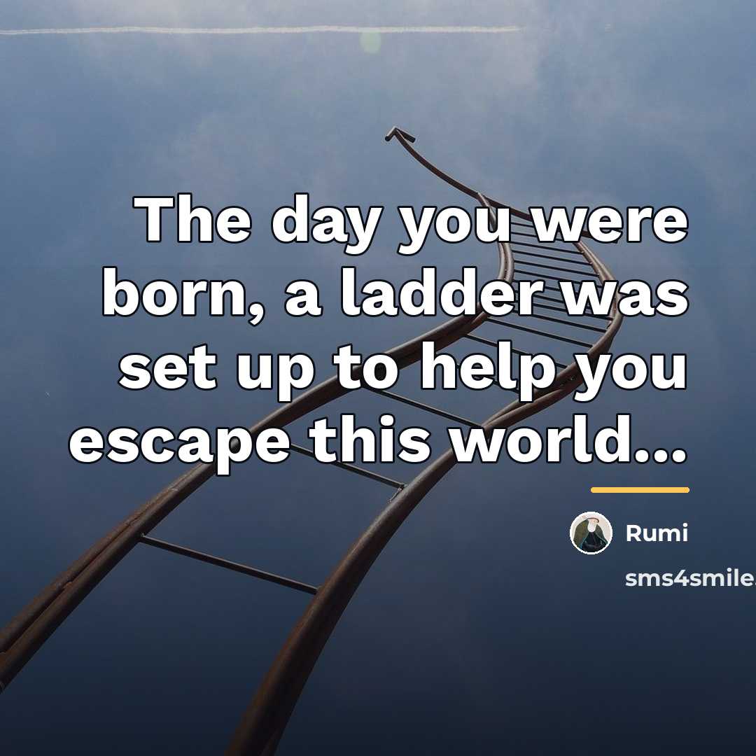 “The day you were born, a ladder was set up…” quote by Rumi