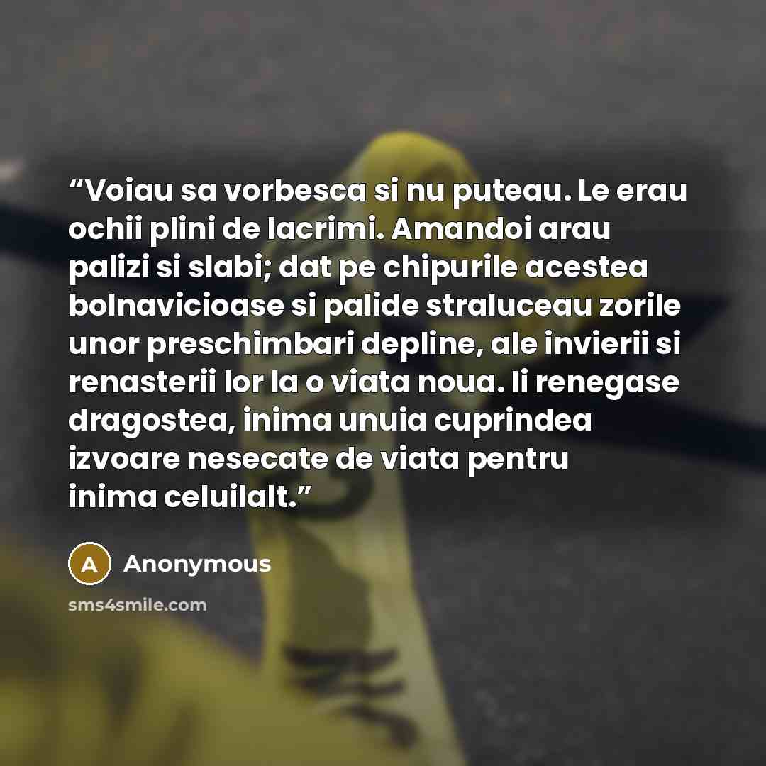 “Voiau sa vorbesca si nu puteau. Le erau ochii plini de lacrimi. Amandoi arau palizi si slabi; dat pe chipurile acestea bolnavicioase si palide straluceau zorile unor preschimbari depline, ale invierii si renasterii lor la o viata noua. Ii renegase dragostea, inima unuia cuprindea izvoare nesecate…” quote by Anonymous