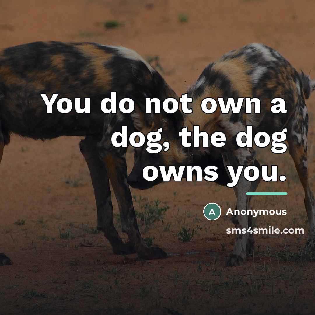 “You do not own a dog, the dog owns you.…” quote by Anonymous