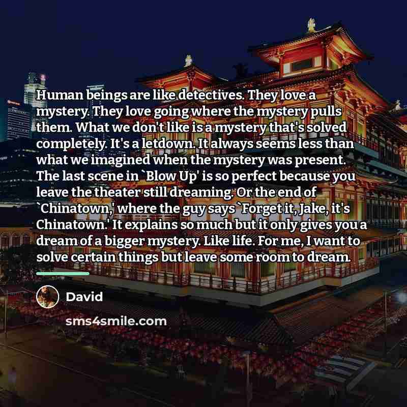 “Human beings are like detectives. They love a mystery. They…” quote by David