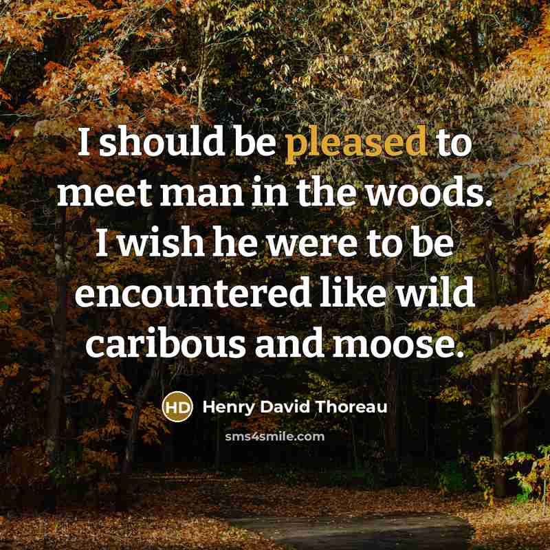 “I should be pleased to meet man in the woods.…” quote by Henry David Thoreau