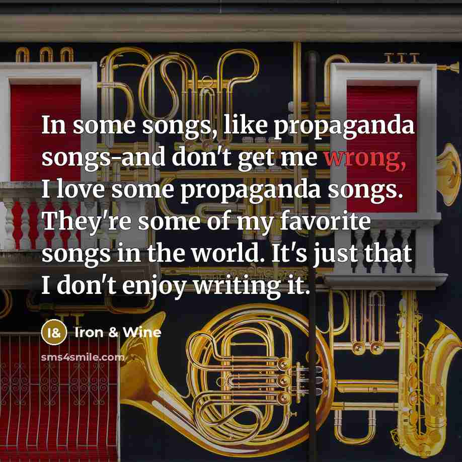“In some songs, like propaganda songs-and don't get me wrong,…” quote by Iron & Wine
