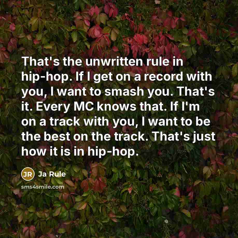 “That's the unwritten rule in hip-hop. If I get on…” quote by Ja Rule